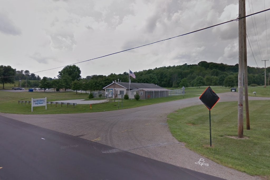Carroll County Dog Pound