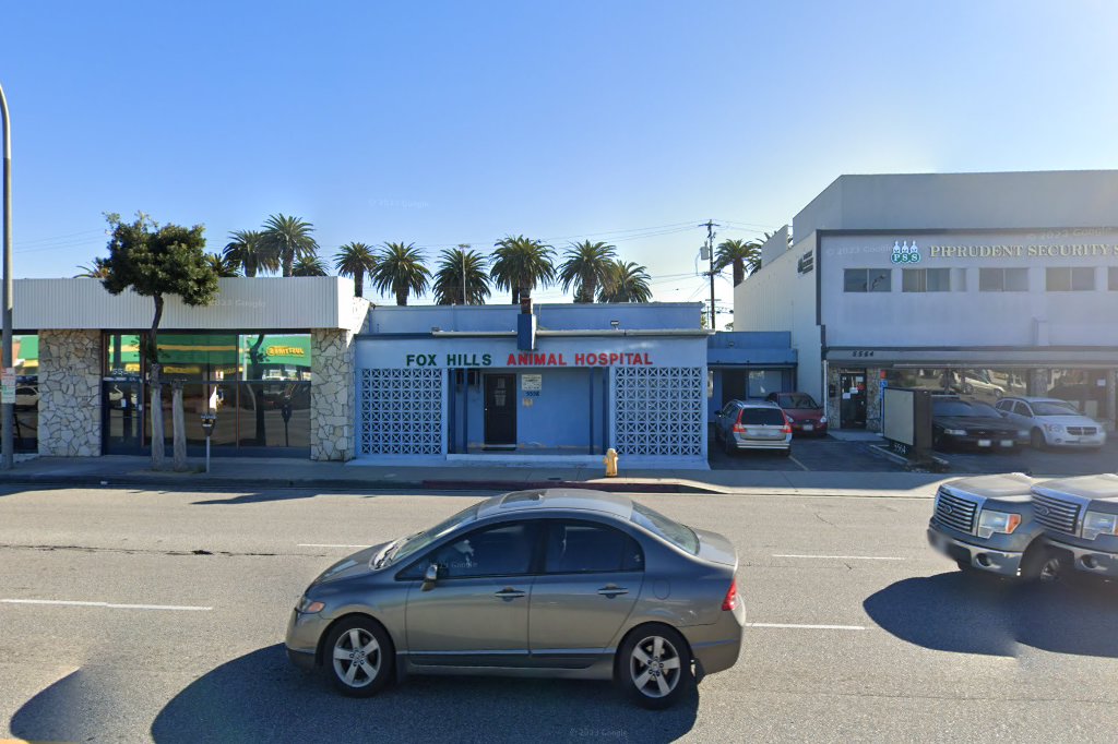 Culver City Dog & Cat Hospital