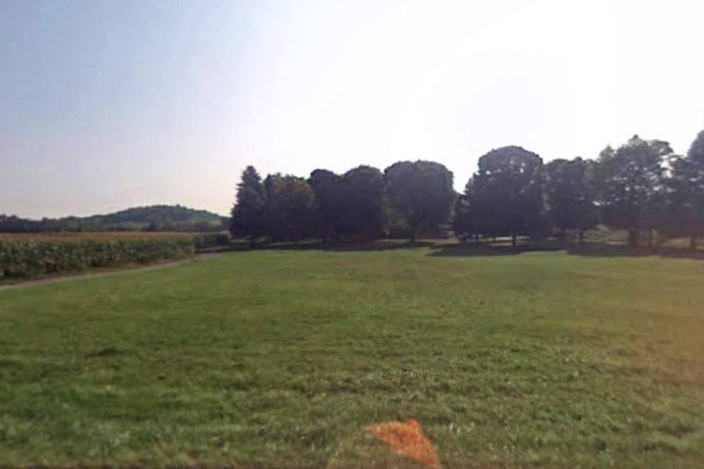 Indian Summers Border Collie Rescue