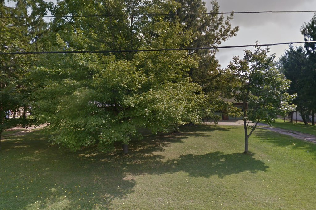 German Shorthaired Pointer Care of Ohio Rescue