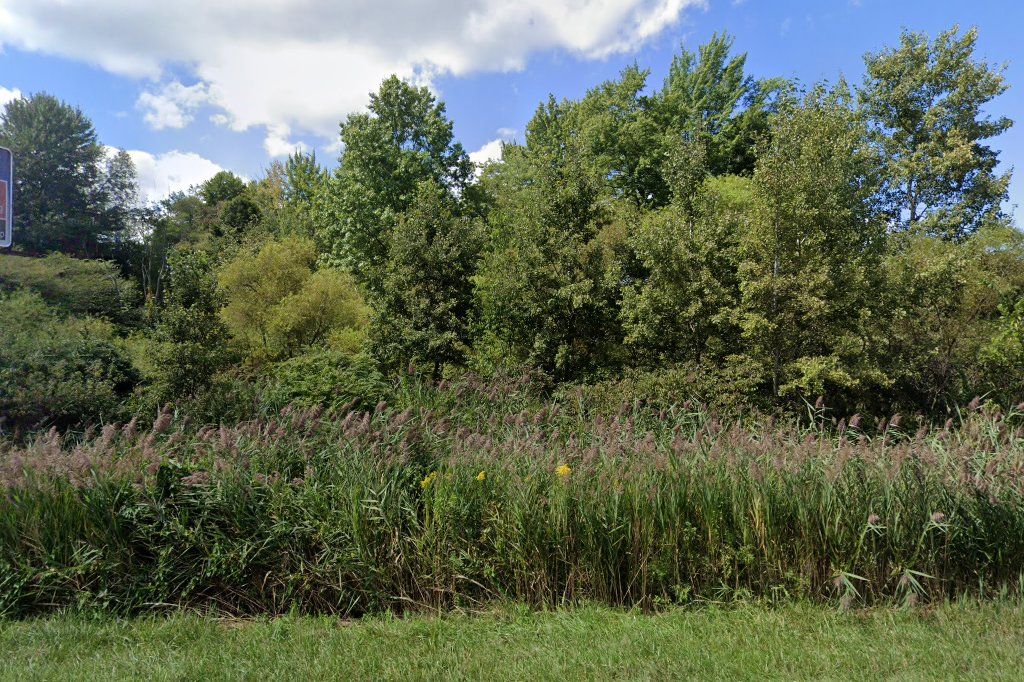 Vienna Animal Control