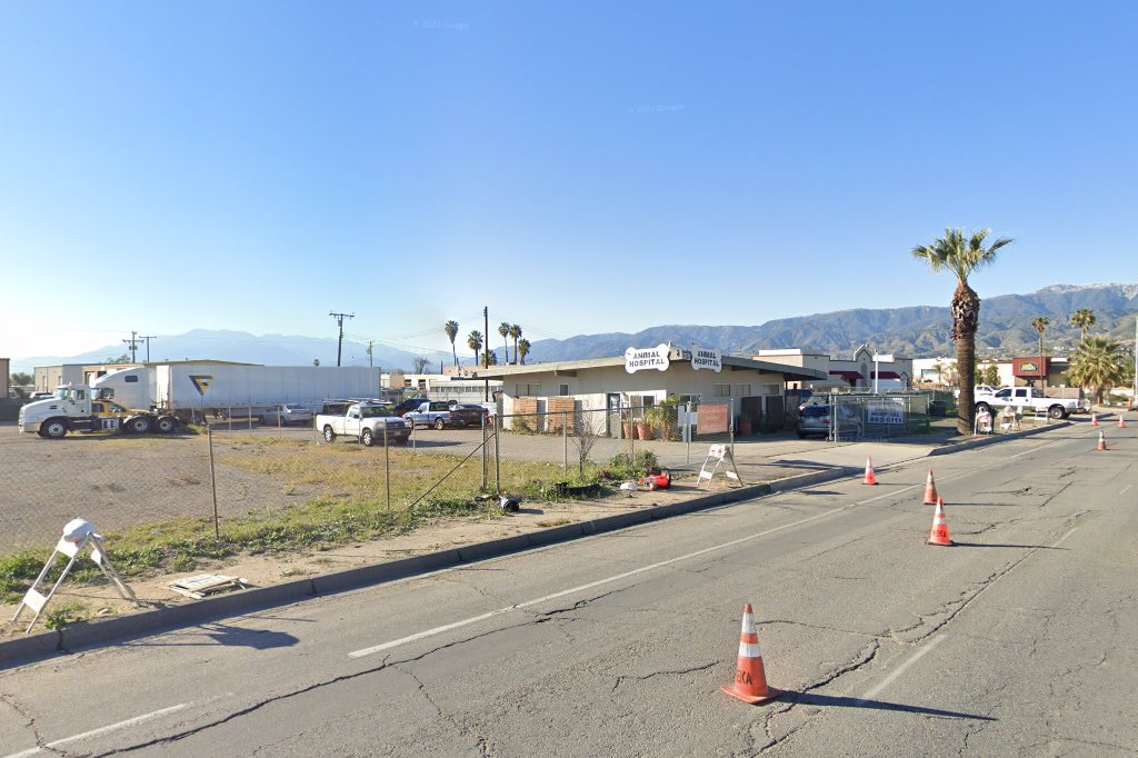 Ala Palm Animal Hospital