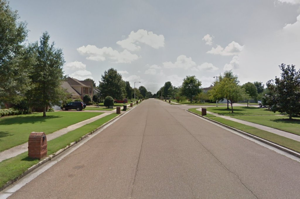 Companion Animal Hospital of Collierville