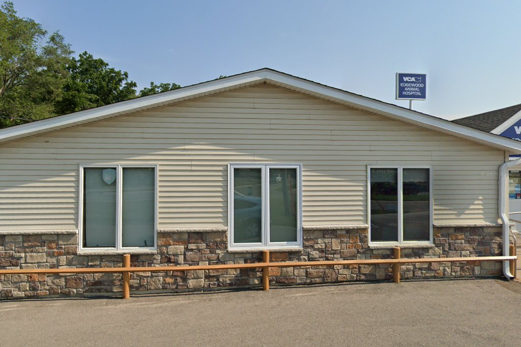 Edgewood Animal Hospital