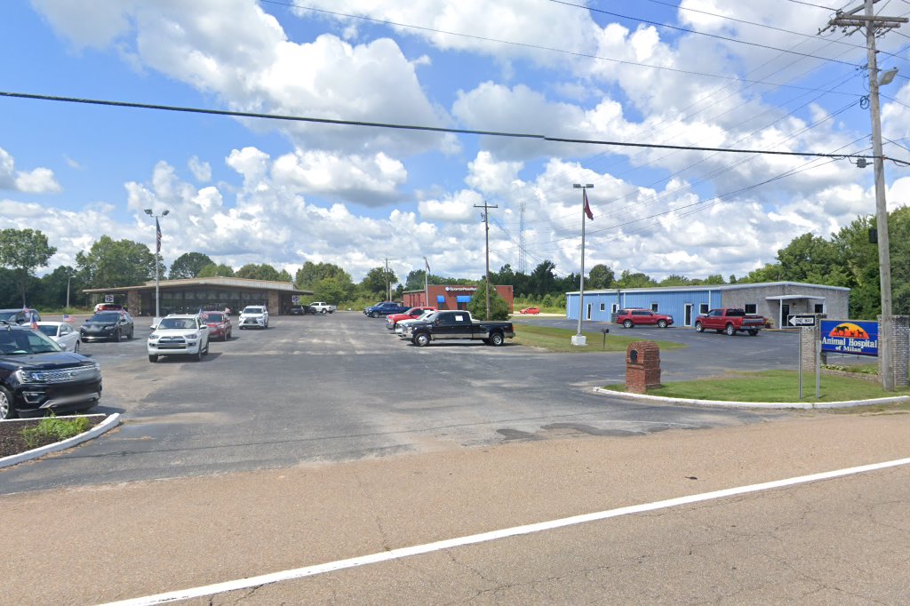 Animal Hospital of Milan