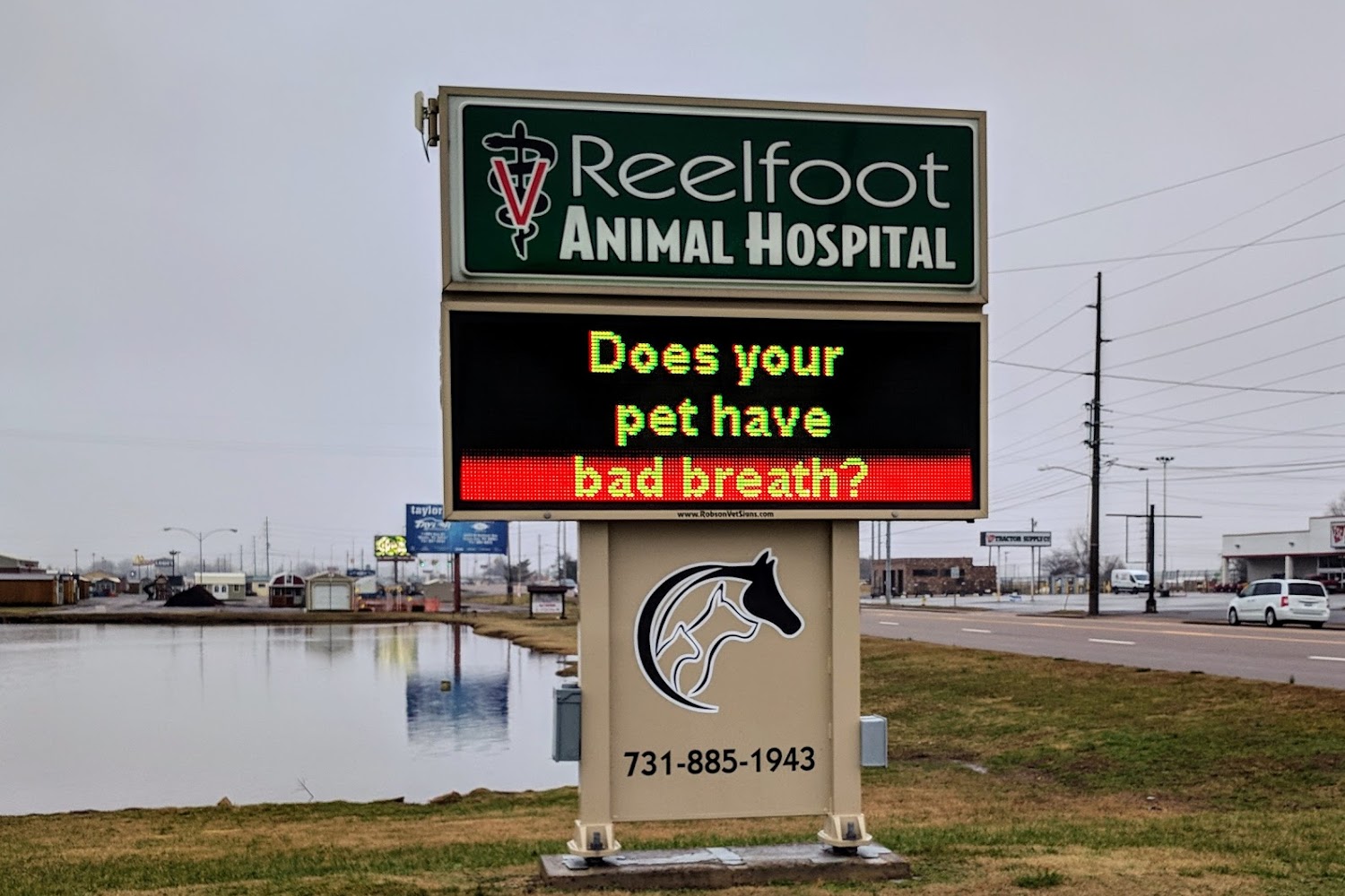Reelfoot Animal Hospital
