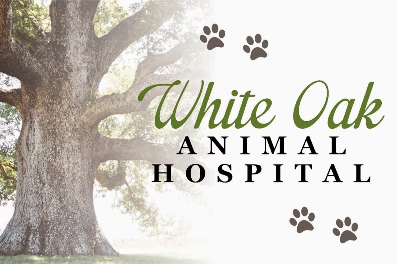 White Oak Animal Hospital