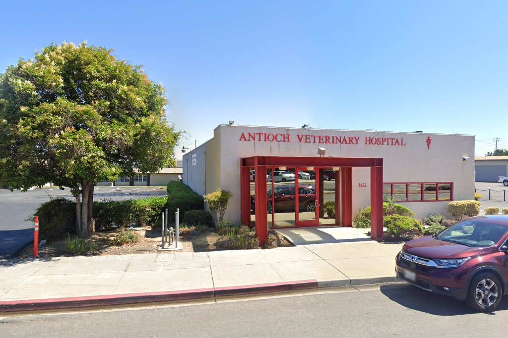 Antioch Veterinary Hospital