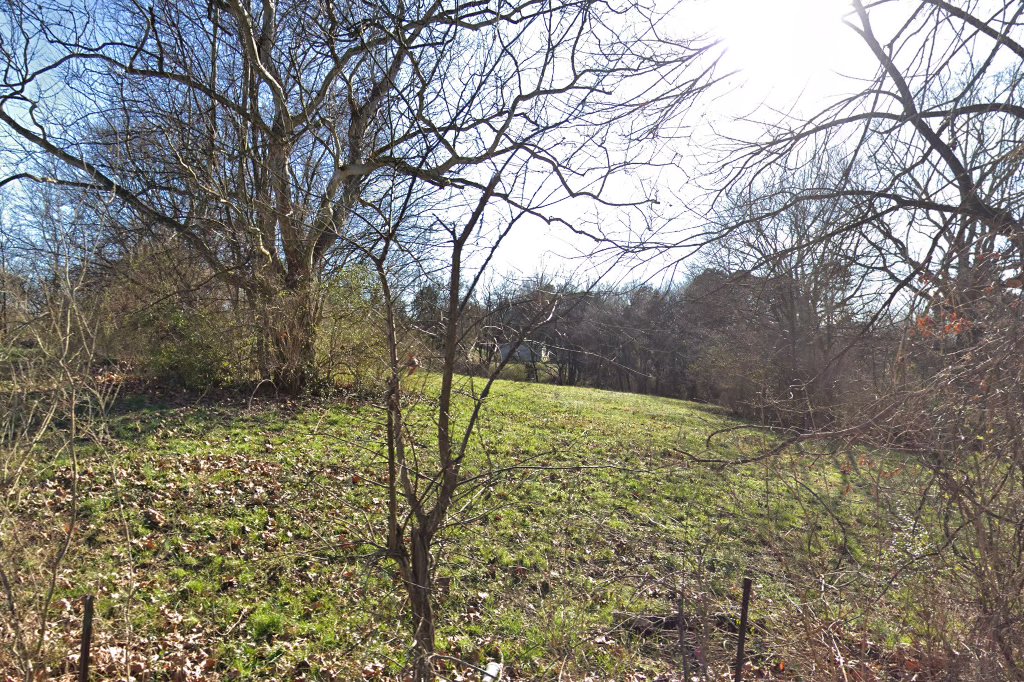 Blount County Animal Control