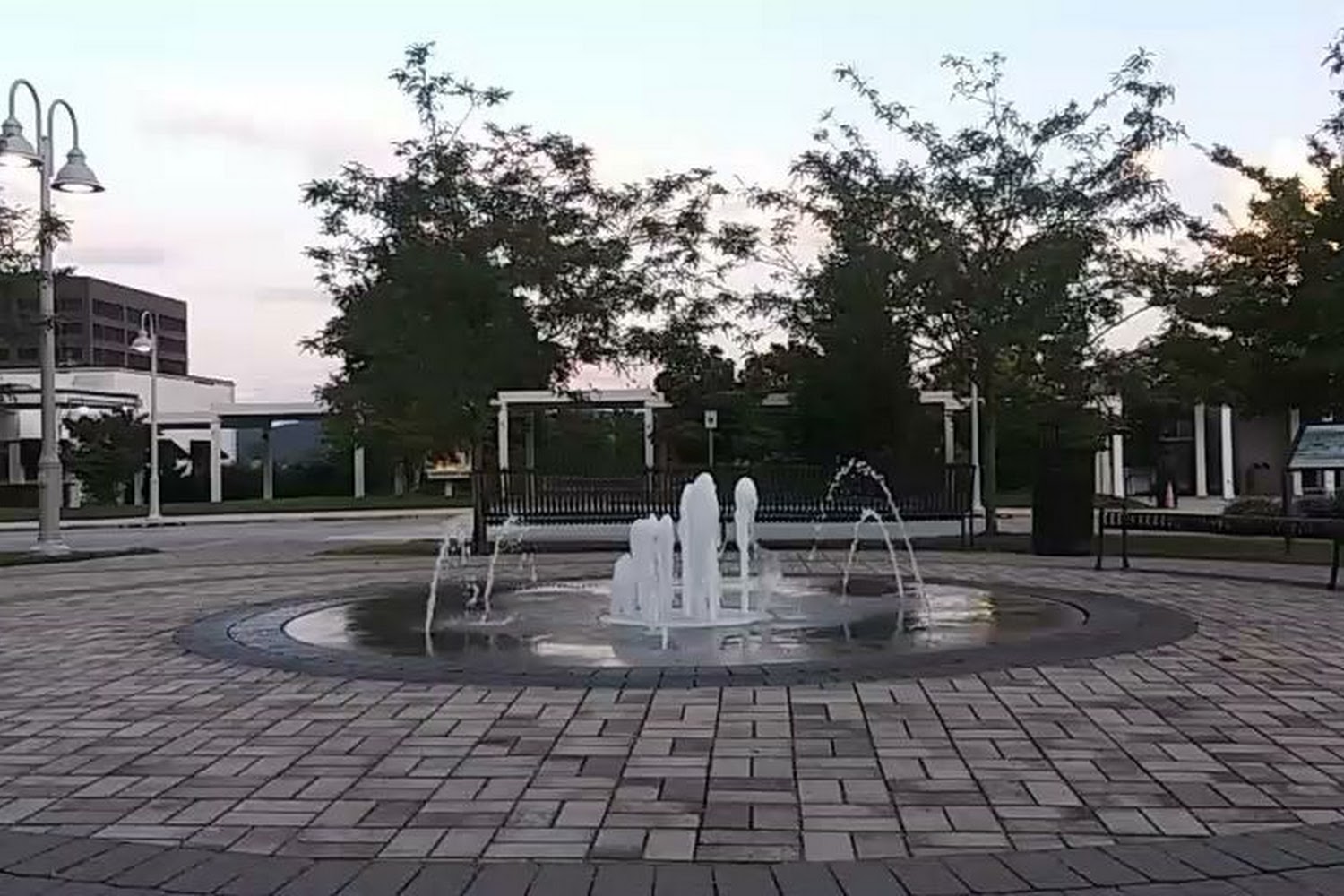 Dames for Danes Great Dane Rescue