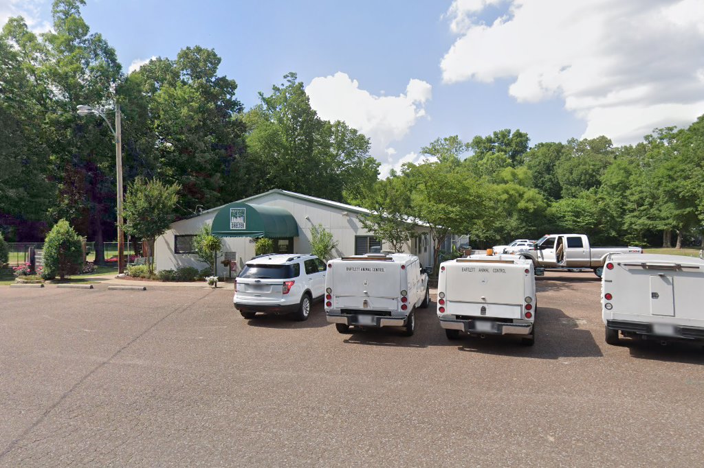 Bartlett Animal Control