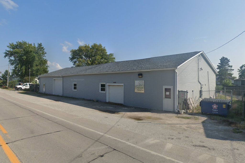 Quad Cities Greyhound Adoption