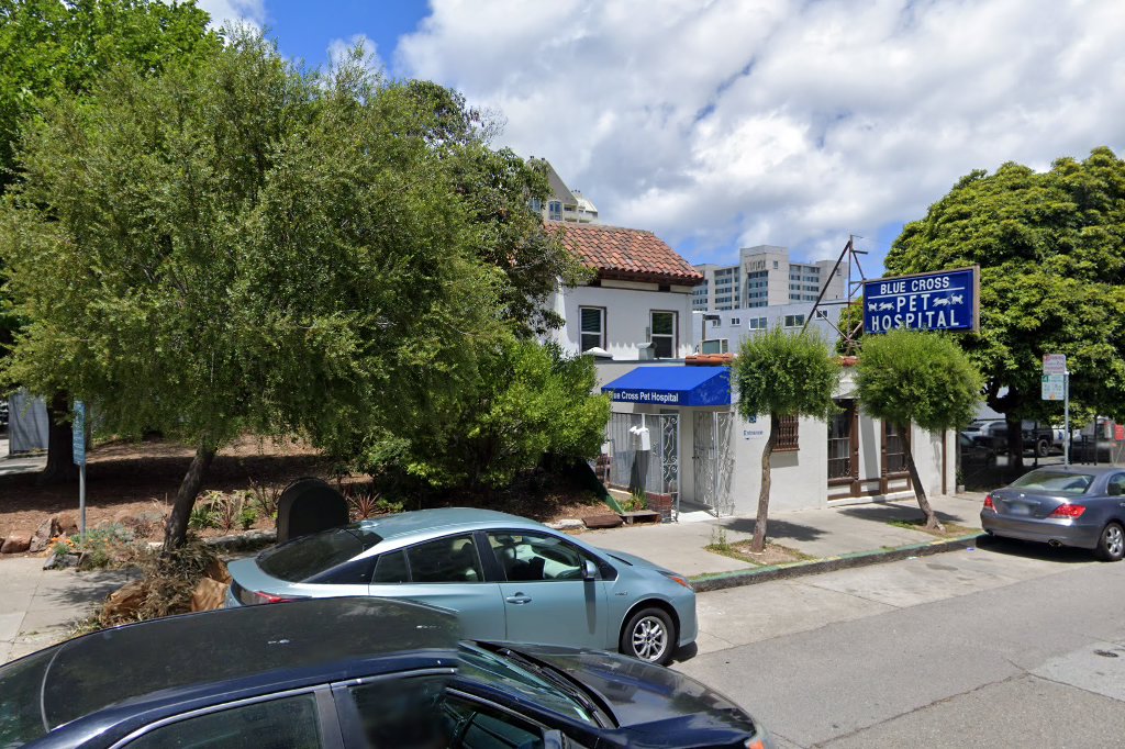 Blue Cross Pet Hospital