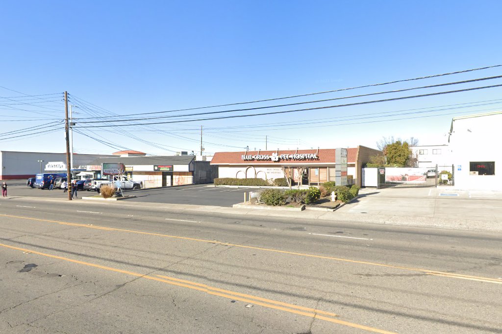 Blue Cross Pet Hospital