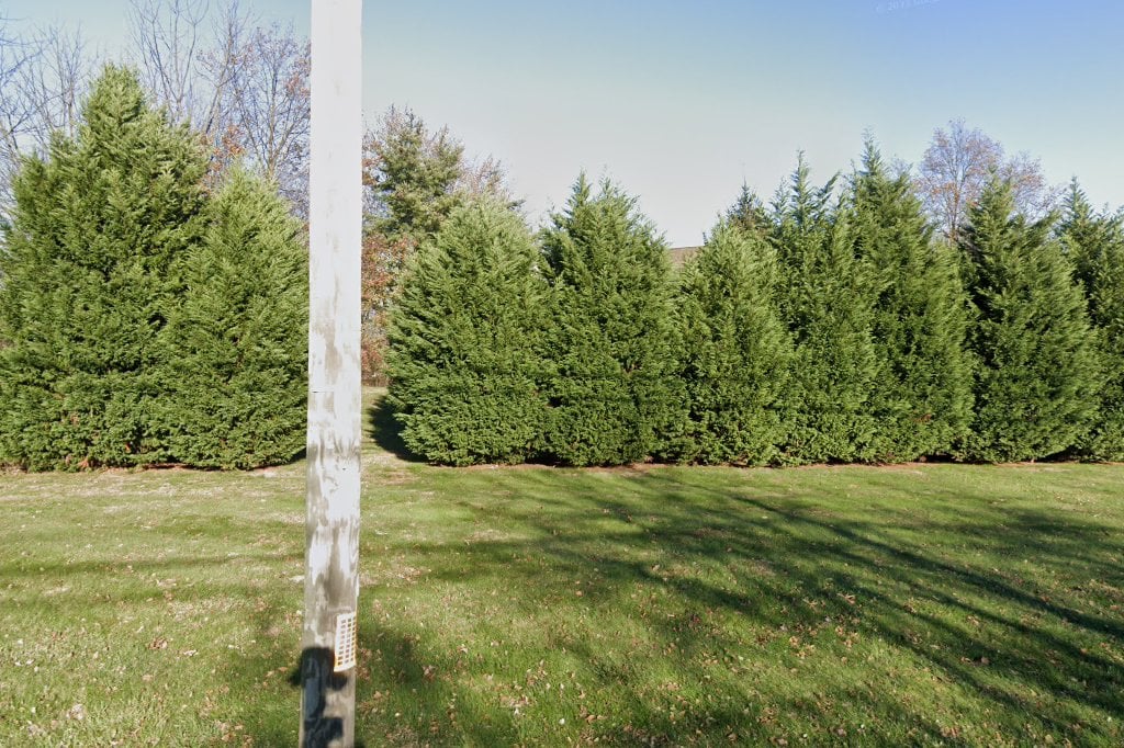 Akshar Animal Clinic