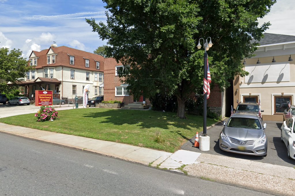 Lansdowne Veterinary Hospital