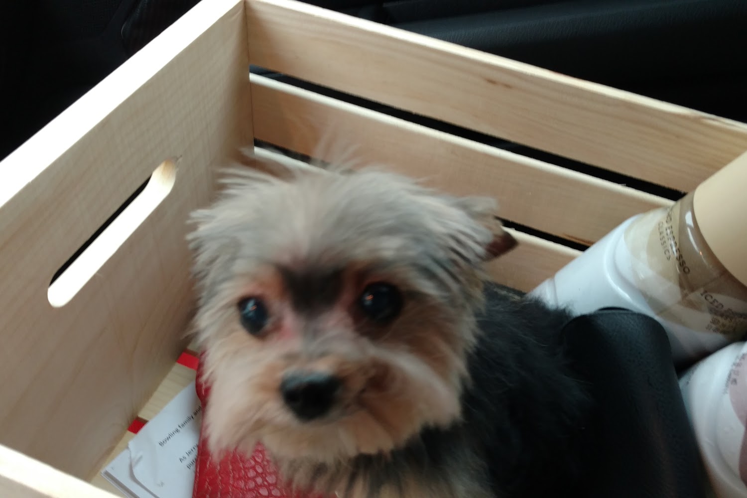 Norco Equine Veterinary Hospital