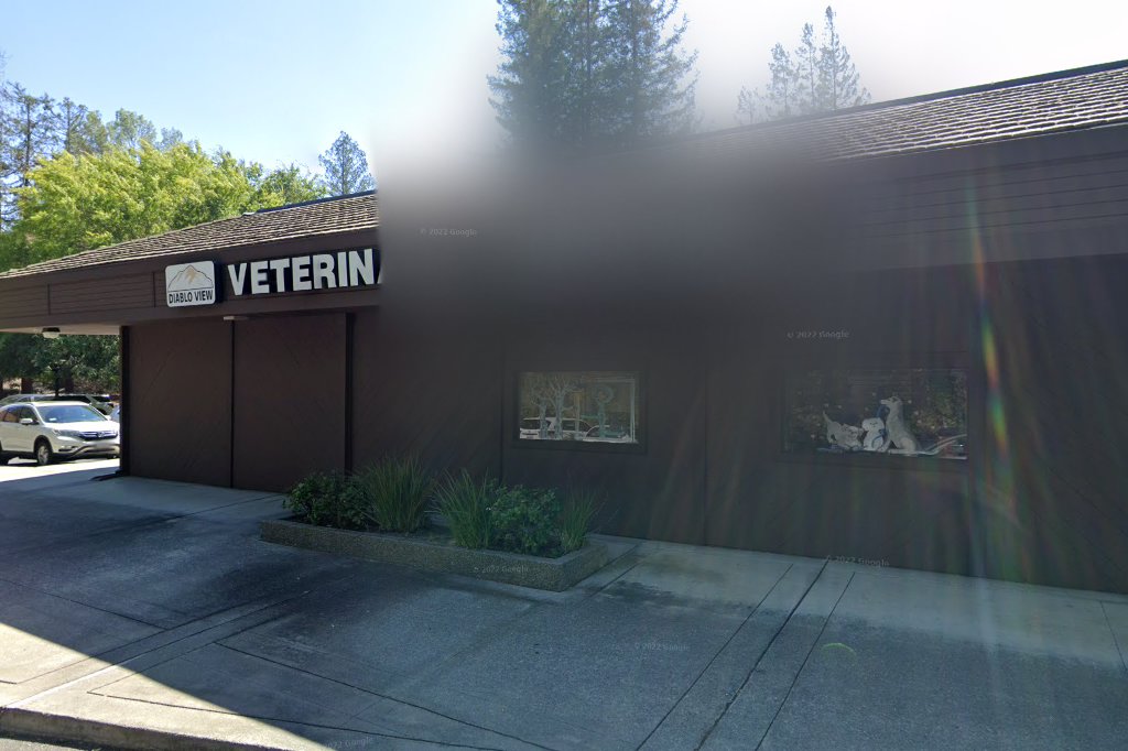 Diablo View Veterinary Hospital