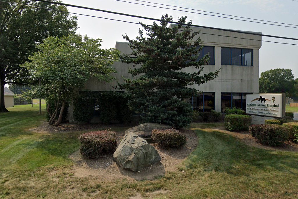 Amherst Animal Hospital
