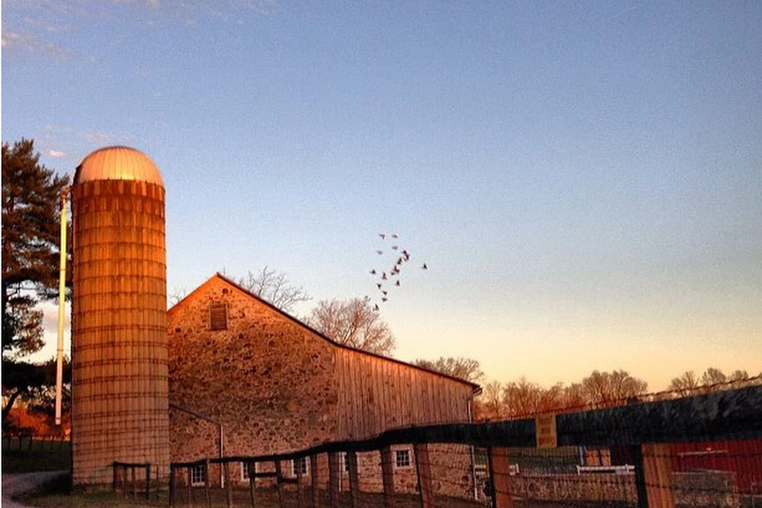 Ryerss Farm For Aged Equines