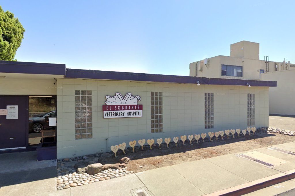 El Sobrante Veterinary Hospital