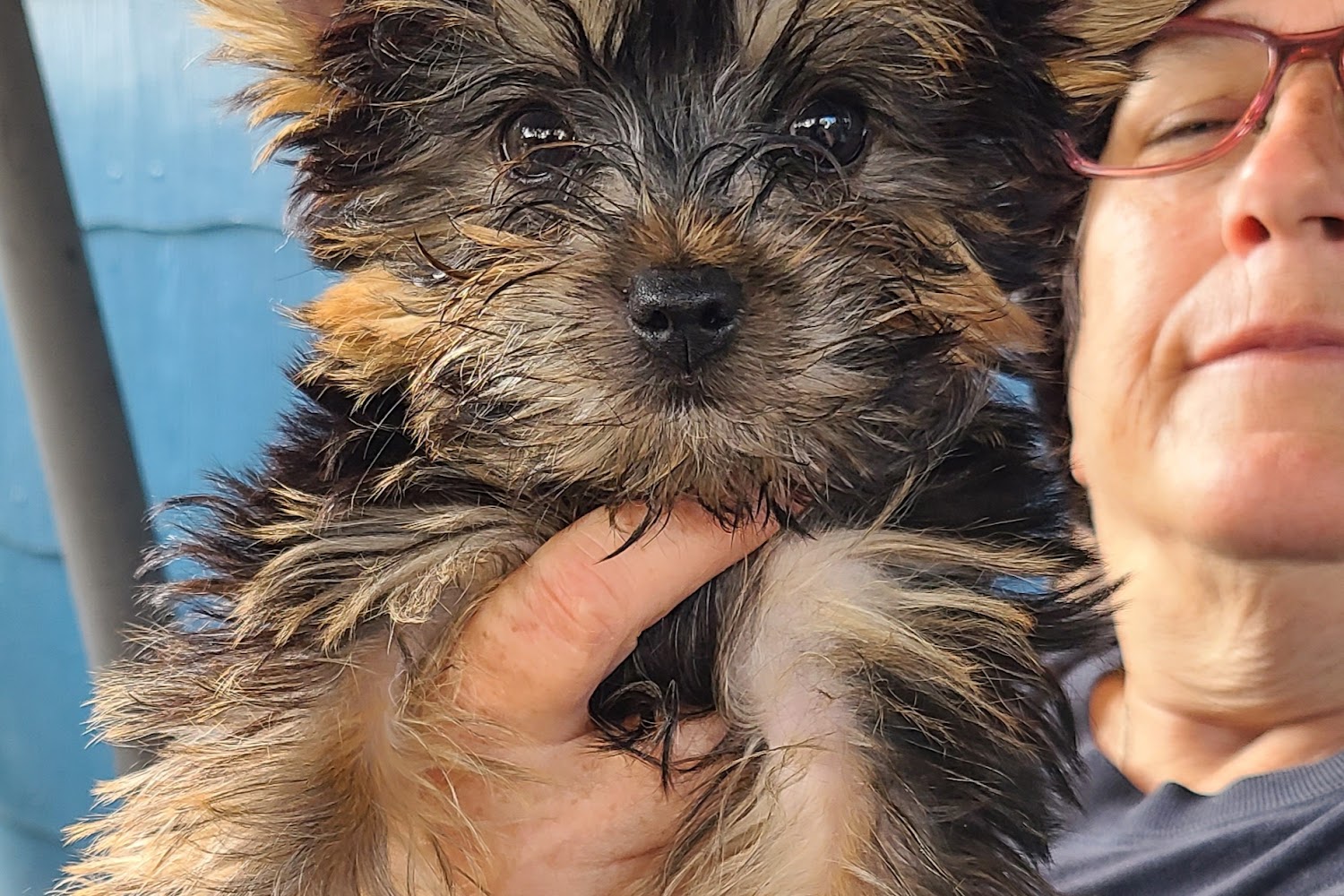 Crestview Veterinary Clinic