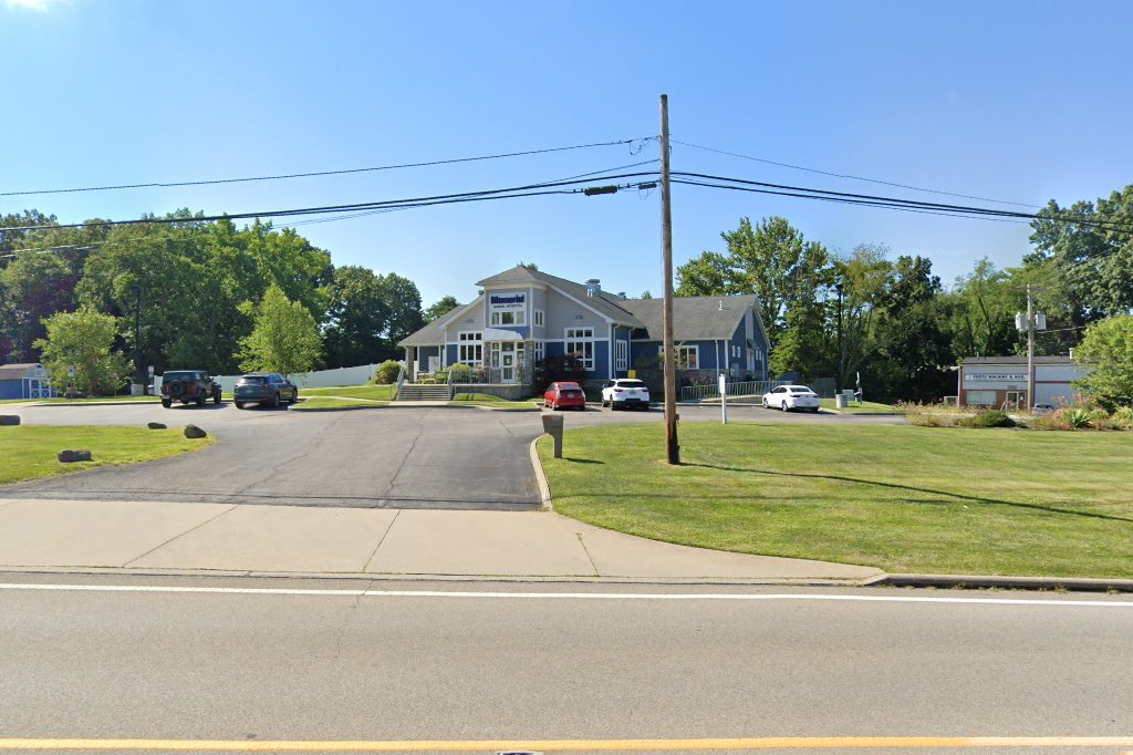 Memorial Animal Hospital