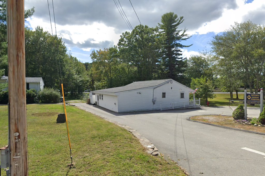 Mitchell Animal Hospital