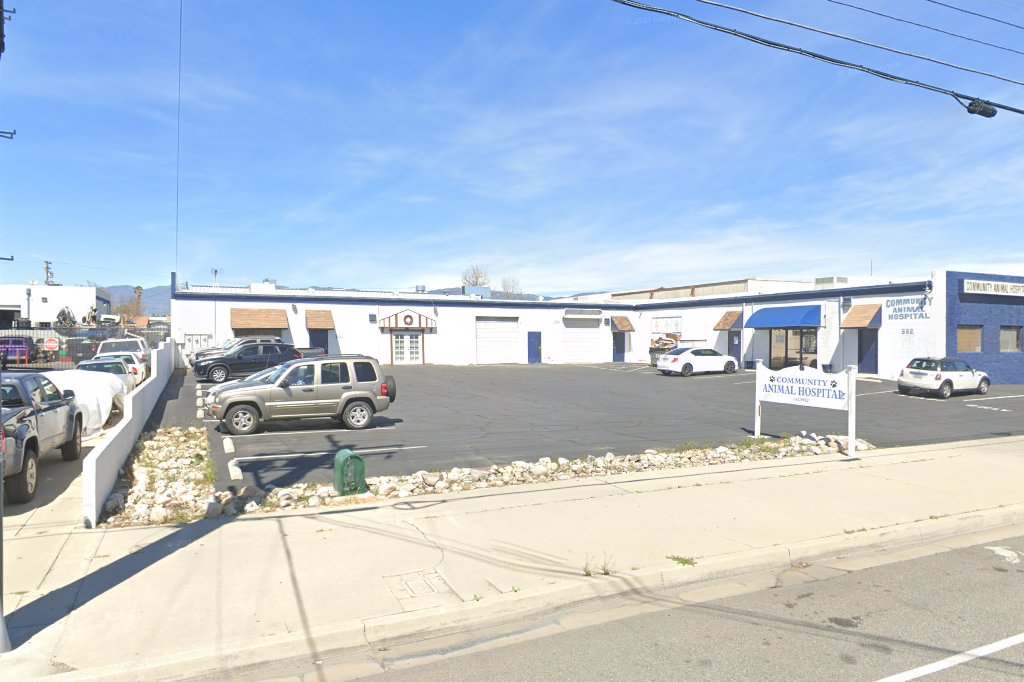 Community Animal Hospital