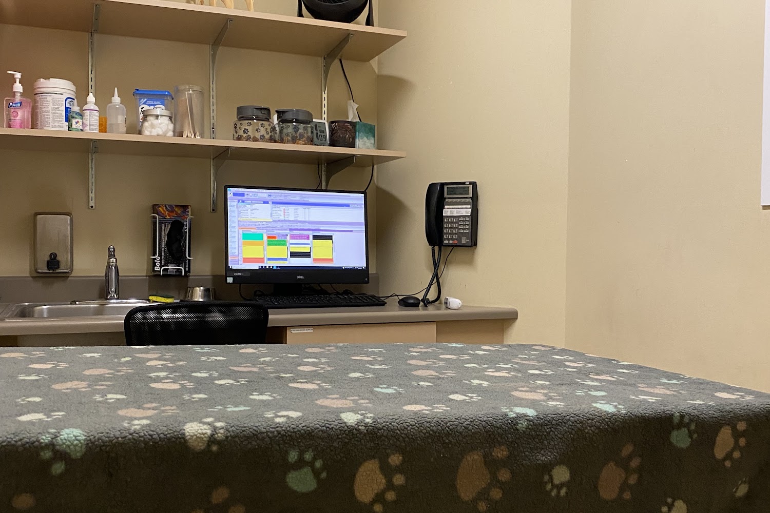 Healthy Pets Veterinary Hospital