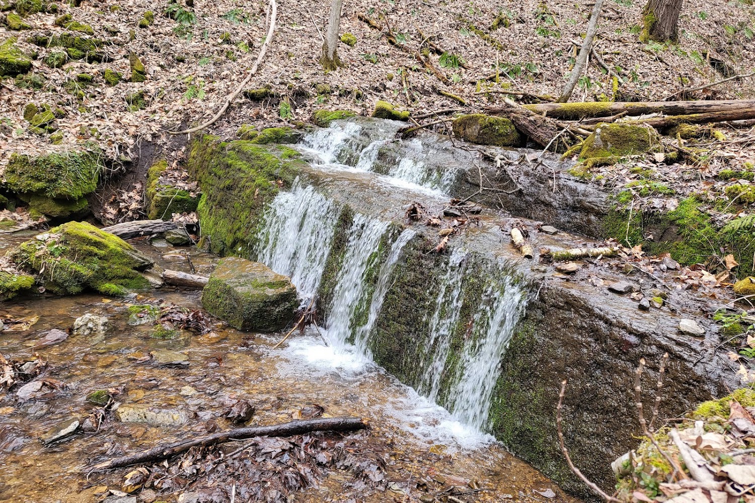 Pendleton County Humane Society