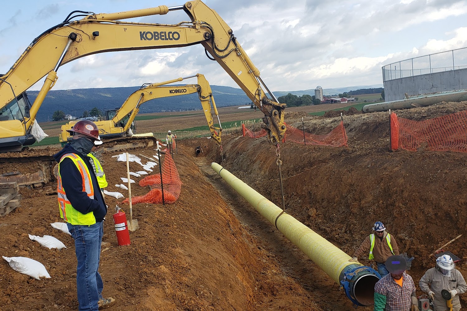 Jccare Japanese Chin Care and Rescue Effort