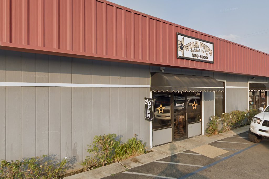 All Critters Hospital