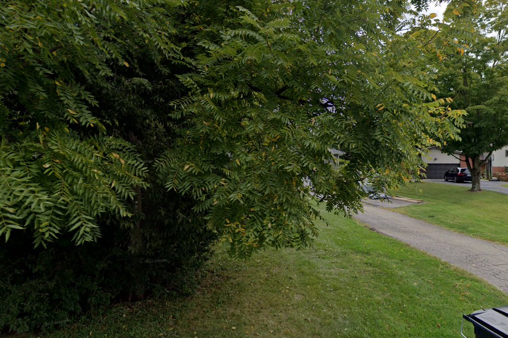 Spay Neuter Incentive Project and Sanctuary