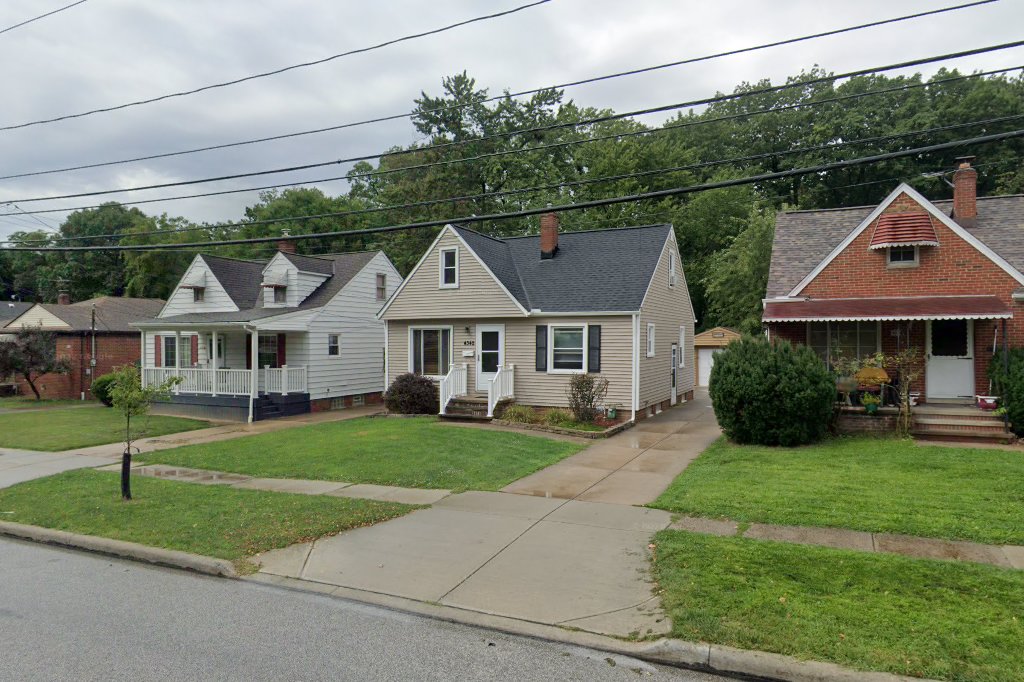 Brooklyn Animal Rescue