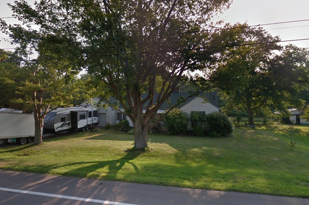 English Springer Rescue American, Inc.