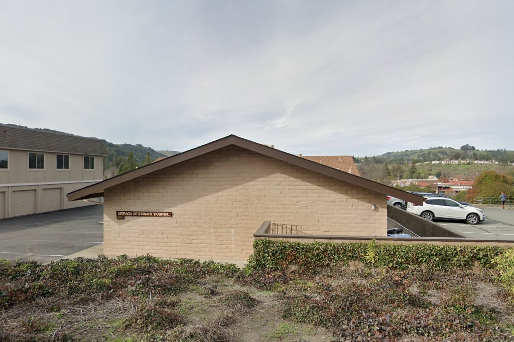 Moraga Veterinary Hospital