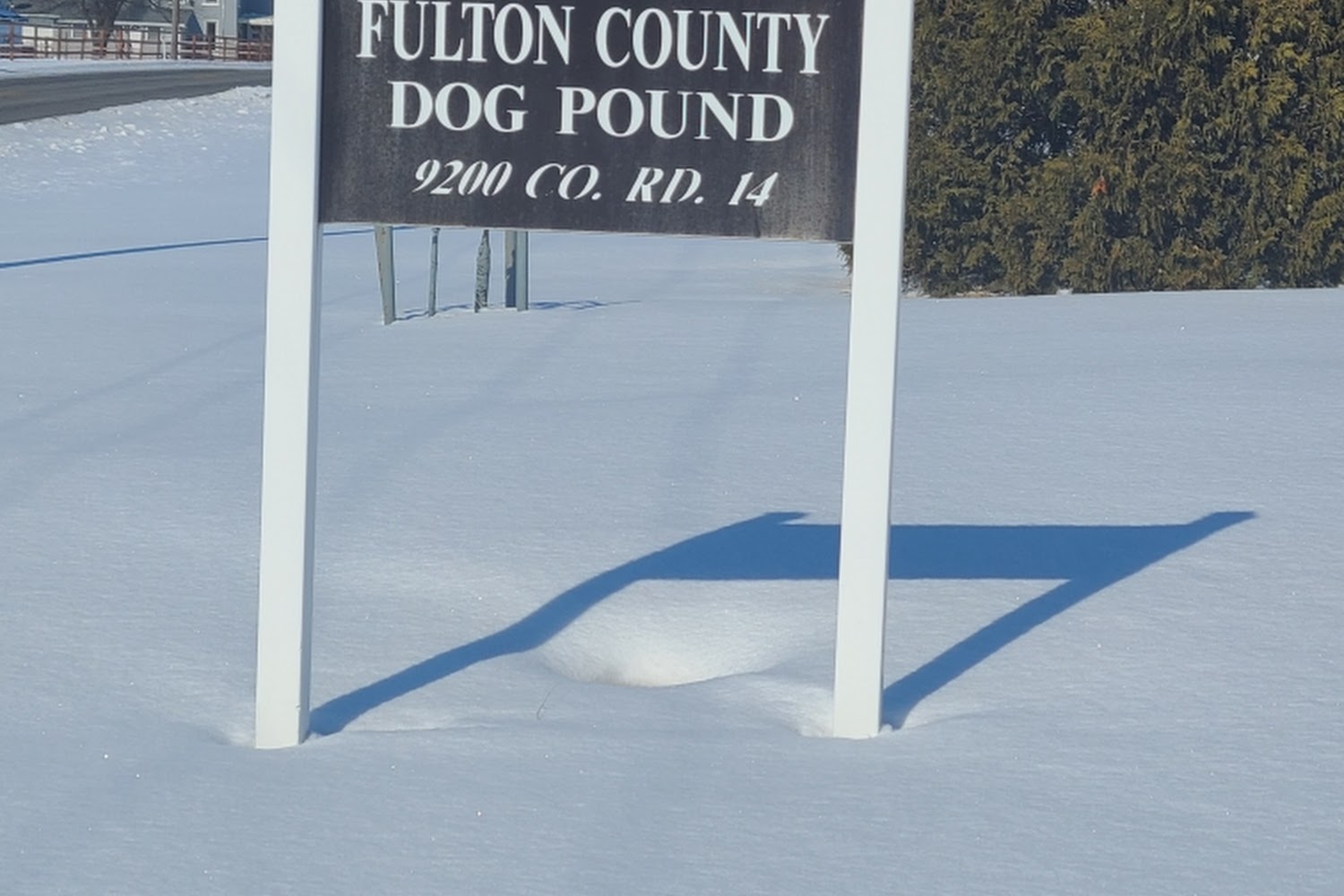 Fulton Dog Pound