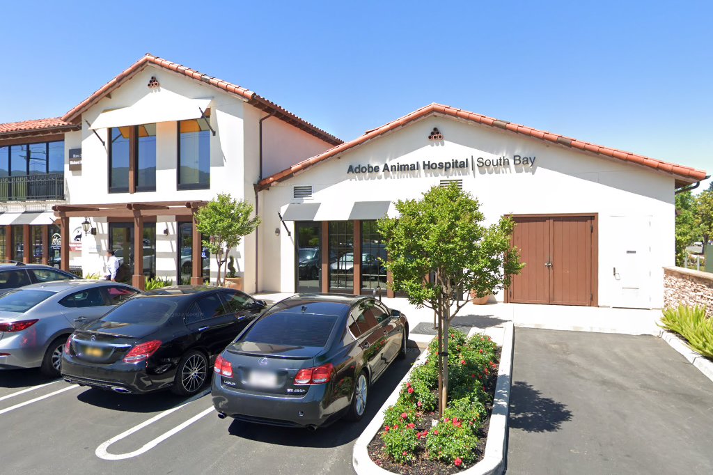 Adobe Animal Hospital