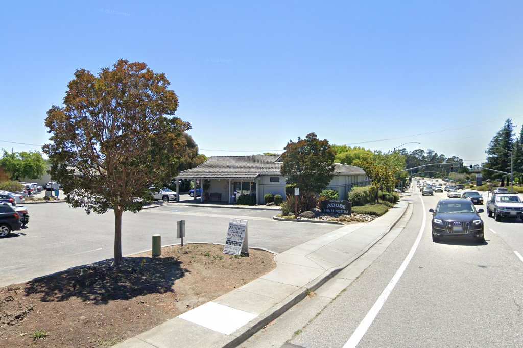 Adobe Animal Hospital