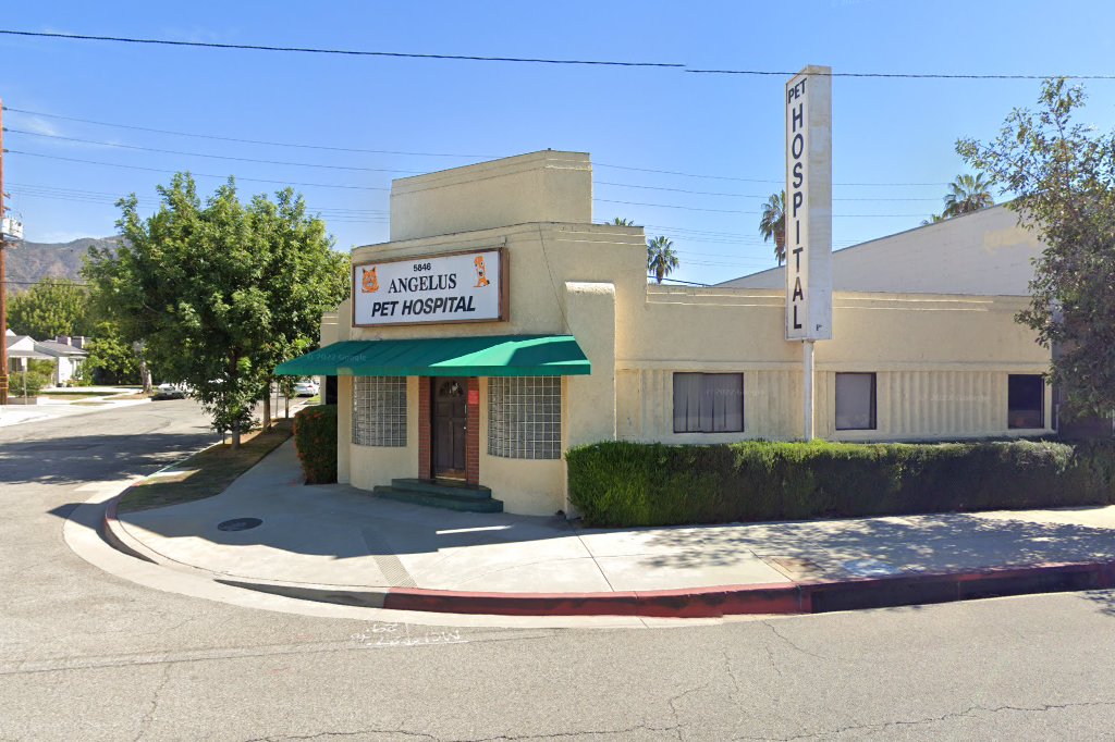 Angelus Pet Hospital