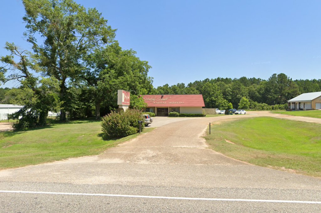 Healing Hands Animal Hospital