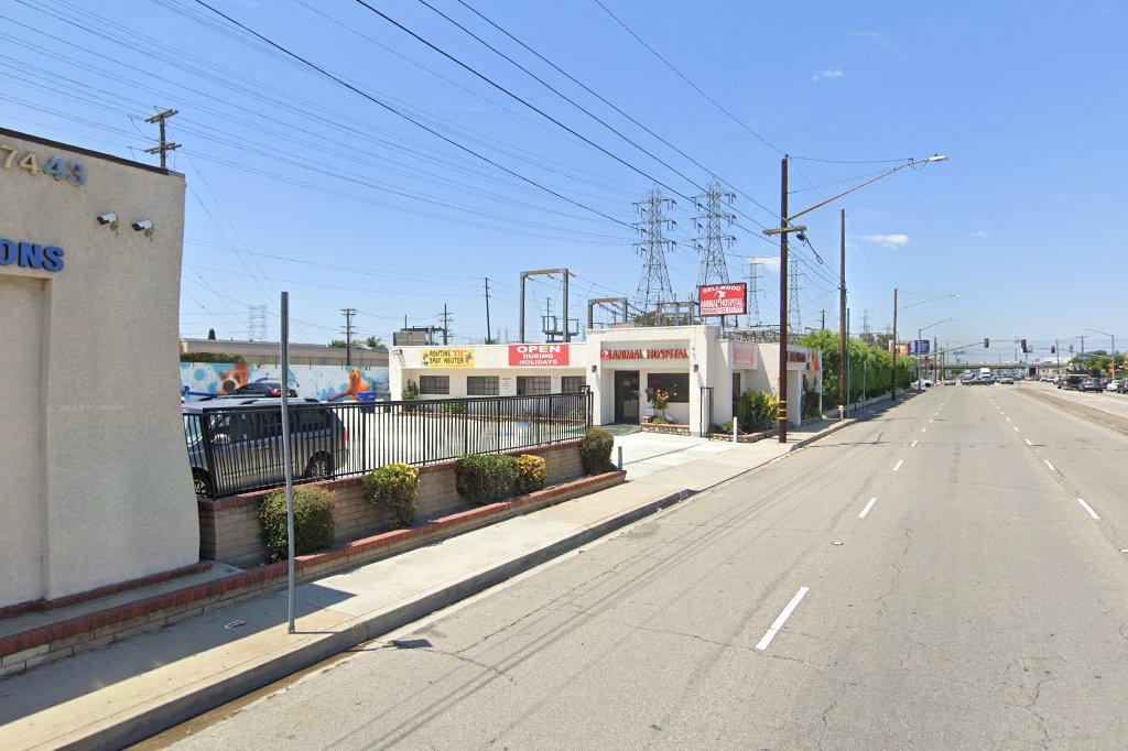 Bellwood Animal Hospital