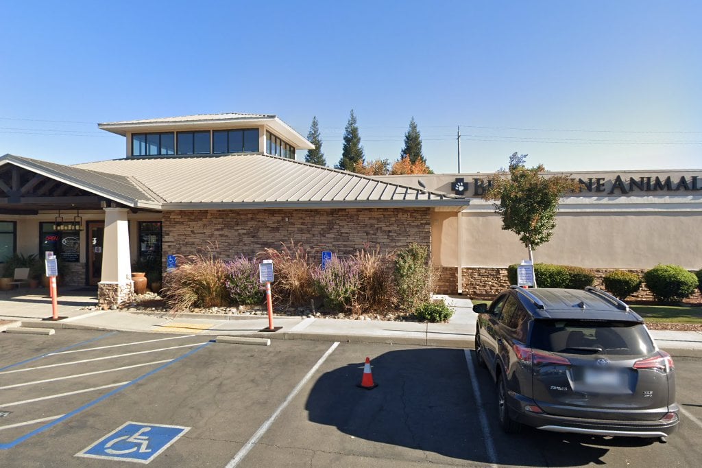 Blue Ravine Animal Hospital