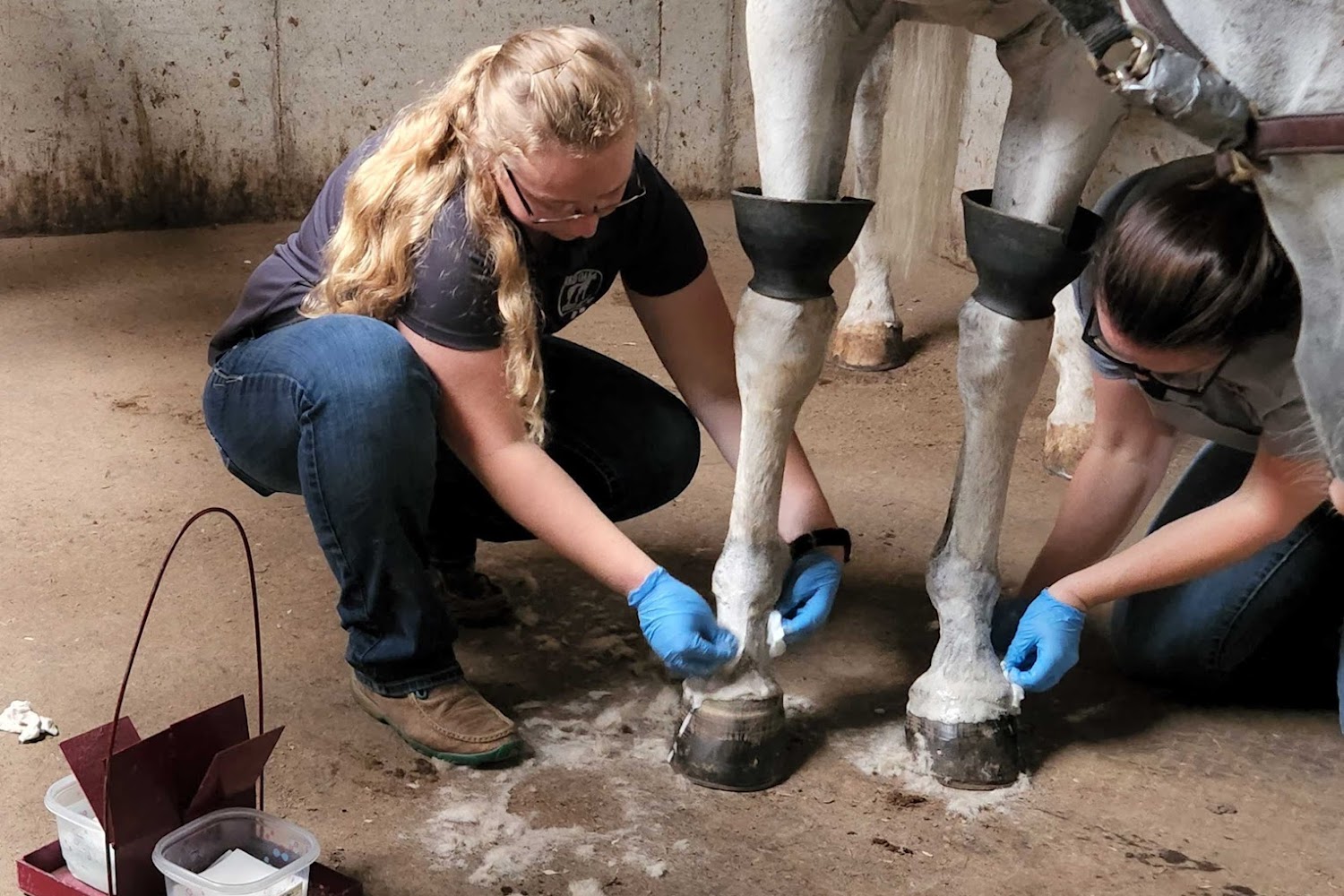 Red Oak Animal Hospital