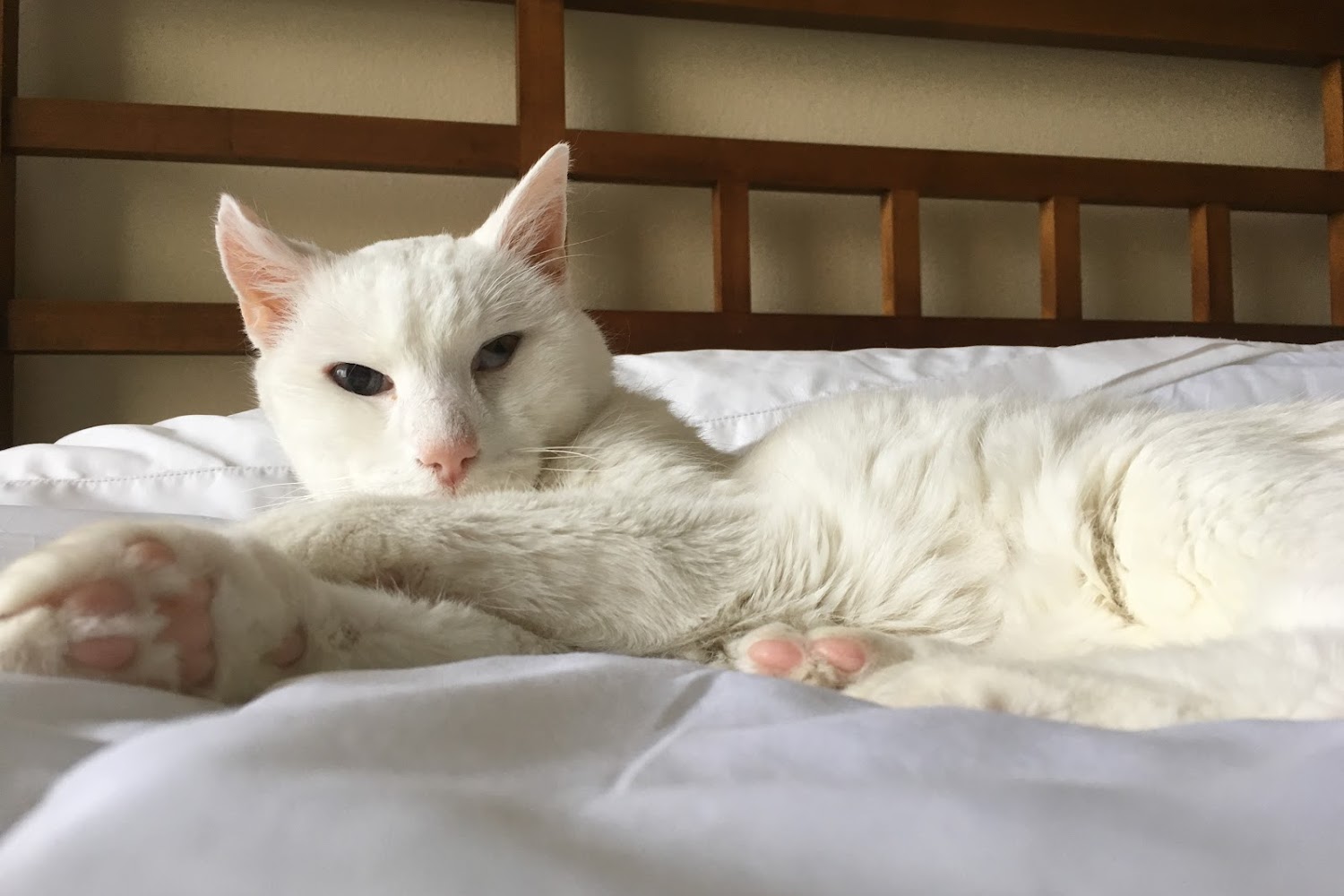 Stonecreek Animal Hospital