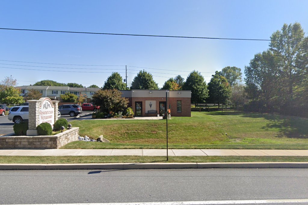 Adamstown Veterinary Hospital