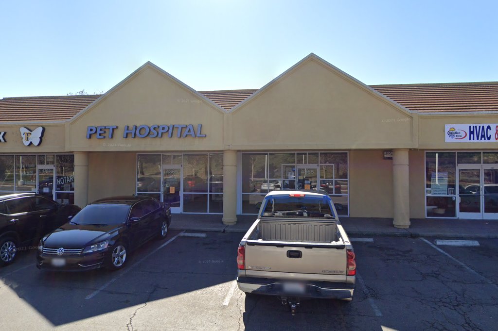 Companion Pet Hospital