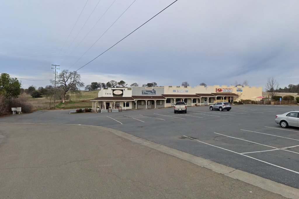 Cool Animal Hospital