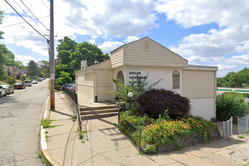 Avalon Veterinary Hospital